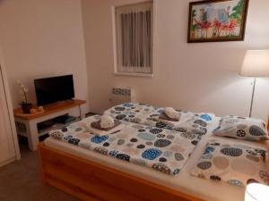 apartman c1 3b